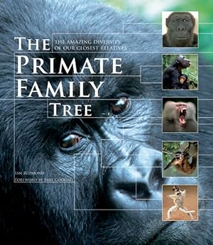 Imagen del vendedor de Primate Family Tree : The Amazing Diversity of Our Closest Relatives a la venta por GreatBookPricesUK