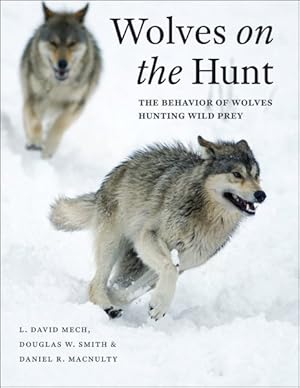 Image du vendeur pour Wolves on the Hunt : The Behavior of Wolves Hunting Wild Prey mis en vente par GreatBookPricesUK