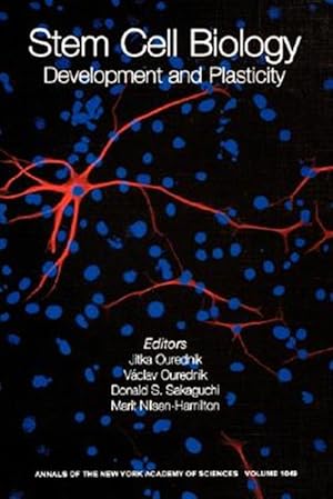 Seller image for Stem Cell Biology : Development and Plasticity for sale by GreatBookPricesUK