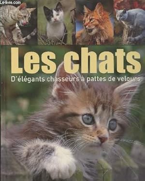 Seller image for Les chats : D'lgants chasseurs  pattes de velours for sale by Le-Livre