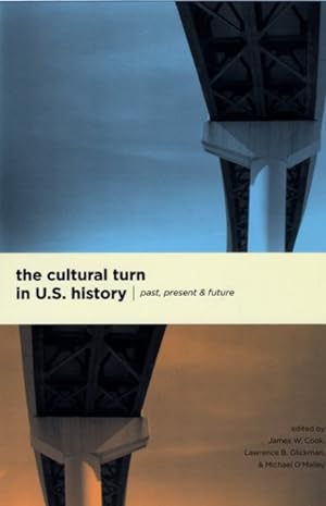 Seller image for Cultural Turn in U. S. History : Past, Present, and Future for sale by GreatBookPricesUK