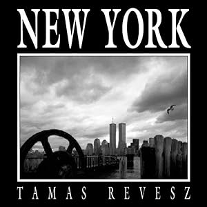 Seller image for New York for sale by GreatBookPricesUK
