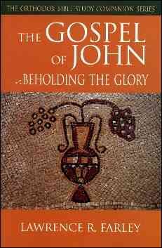 Seller image for Gospel of John : Beholding the Glory for sale by GreatBookPricesUK