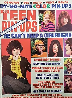 Seller image for Teen Pin-Ups Michael Jackson, Elvis Presley, David Cassidy, Susan Dey, Maureen McCormick June 1973 (Collectible Single Back Issue Magazine) for sale by InventoryMasters