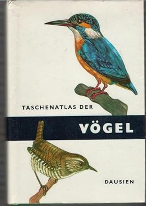 Taschenatlas der Vögel von Jaroslav Spirhanzl- Duris mit Illustrationen von Jan Solovjev