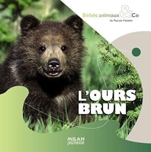 Bild des Verkufers fr L'ours brun zum Verkauf von Chapitre.com : livres et presse ancienne