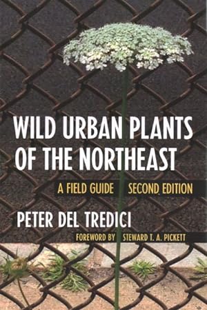 Seller image for Wild Urban Plants of the Northeast : A Field Guide for sale by GreatBookPrices