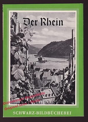 Der Rhein: Schwarz-Bildbücherei - Stange,A. ( Einf.)