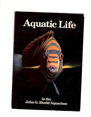 Imagen del vendedor de Aquatic Life in the John G. Shedd Aquarium a la venta por Theodore J. Holsten Jr.