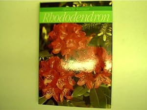 Rhododendron: Arten, Sorten und ihre Verwendung;