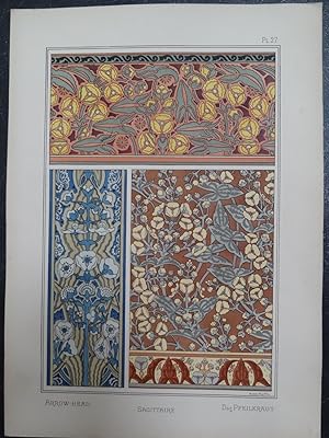 Antique Print-FLOWER DESIGN-ART NOUVEAU-ARROWHEAD-Grasset-Martin-1896