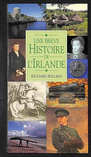 Image du vendeur pour Une brve histoire de l'Irlande mis en vente par Els llibres de la Vallrovira