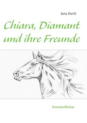 Bild des Verkufers fr Chiara, Diamant und ihre Freunde : Sommerferien zum Verkauf von AHA-BUCH