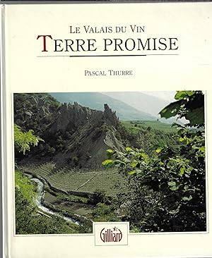 Le Valais du vin terre promise