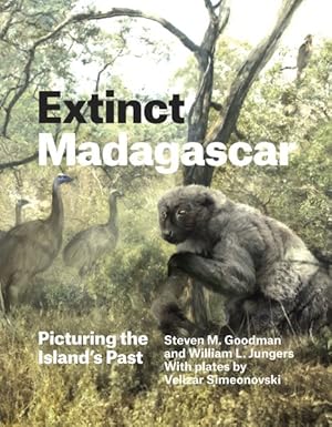 Seller image for Extinct Madagascar : Picturing the Island's Past for sale by GreatBookPricesUK