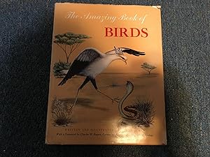 Seller image for THE AMAZING BOOK OF BIRDS for sale by Betty Mittendorf /Tiffany Power BKSLINEN