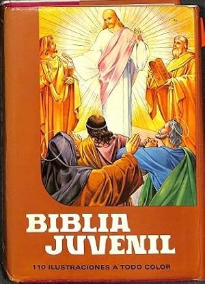 BIBLIA JUVENIL