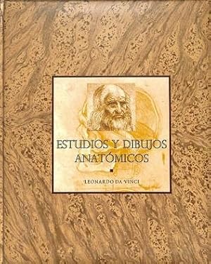 ESTUDIOS Y DIBUJOS ANATOMICOS