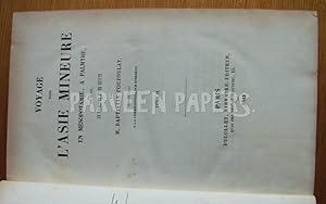 Voyage dan's L'Asie Mineure et Mesopotamie, a Palmyre et Syrie En Palestine et En Egypt. 2 Volumes.