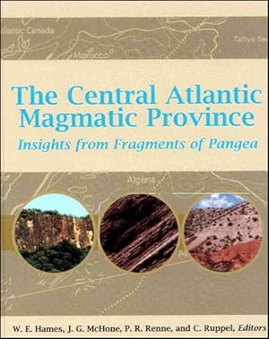 Imagen del vendedor de Central Atlantic Magmatic Province : Insights from Fragments of Pangea a la venta por GreatBookPricesUK