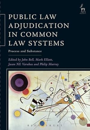 Seller image for Public Law Adjudication in Common Law Systems [Soft Cover ] for sale by booksXpress