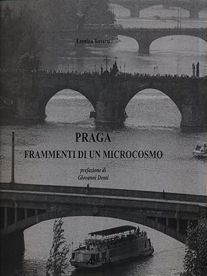 Bild des Verkufers fr Praga. Frammenti di un microcosmo zum Verkauf von Librodifaccia