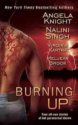 Image du vendeur pour Burning Up mis en vente par GreatBookPricesUK