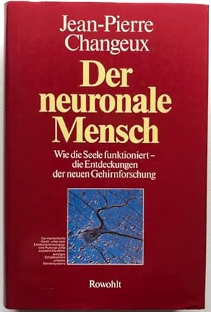 Image du vendeur pour Der neuronale Mensch. Wie die Seele funktioniert - die Entdeckungen der neuen Gehirnforschung. mis en vente par Antiquariat Lohmann