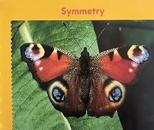 Seller image for Symmetry (Paperback) by Jack Beers for sale by InventoryMasters