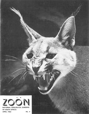 Seller image for zon 1965 - 4 for sale by Schueling Buchkurier