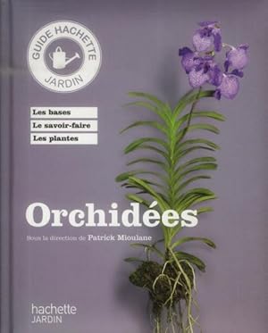 orchidées