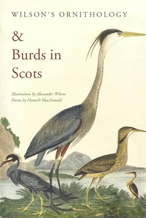 Seller image for Wilson's Ornithology & Burds in Scots for sale by GreatBookPrices
