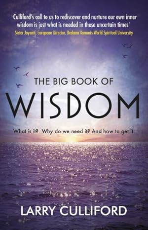Bild des Verkufers fr Big Book of Wisdom : What Is It? Why Do We Need It? and How to Get It? zum Verkauf von GreatBookPrices