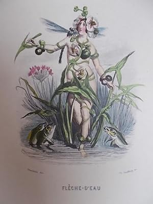 Image du vendeur pour FLEURS ANIMEES:FLECHE-D'EAU mis en vente par Bibliofolie