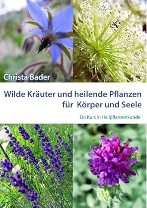 Bild des Verkufers fr Wilde Kruter und Heilende Pflanzen fr Krper und Seele : Ein Kurs in Heilpflanzenkunde zum Verkauf von AHA-BUCH GmbH