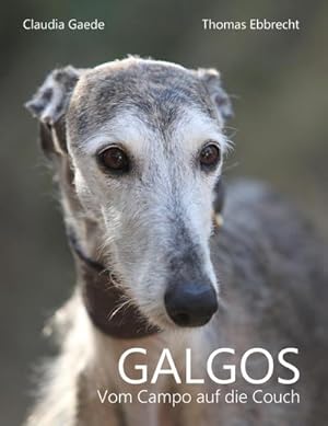 Image du vendeur pour Galgos : Vom Campo auf die Couch mis en vente par AHA-BUCH GmbH