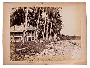 [Views of Singapore and surroundings].[Singapore, ca. 1870]. 20 large uniform albumen prints (21 ...