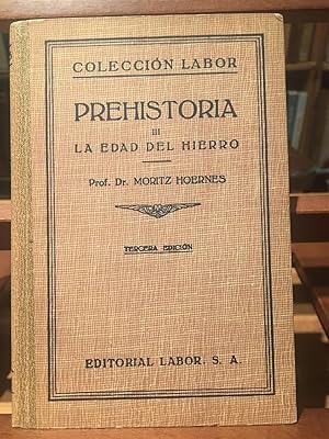 PREHISTORIA, LA EDAD DEL HIERRO