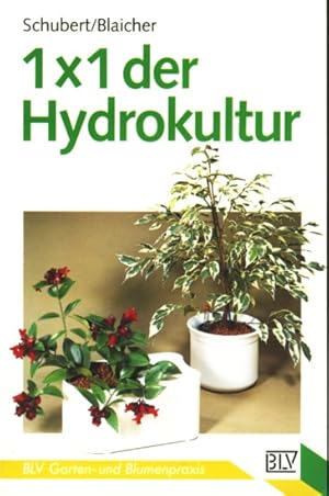 Seller image for 1 x 1 der Hydrokultur. for sale by TF-Versandhandel - Preise inkl. MwSt.