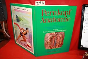 Seller image for PERNKOPF ANATOMIE: 2. BAND: BRUST, BAUCH, UND EXTREMITATEN for sale by Princeton Antiques Bookshop