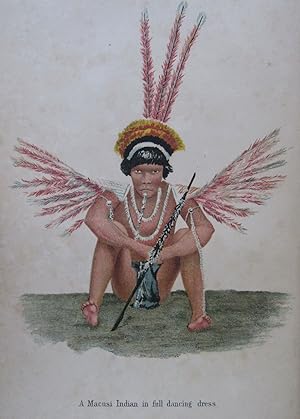 Seller image for Among the Indians of Guiana. Being sketches chiefly anthropologic from the interior of British Guiana. With 53 illustrations and a map. for sale by William Chrisant & Sons, ABAA, ILAB. IOBA, ABA, Ephemera Society