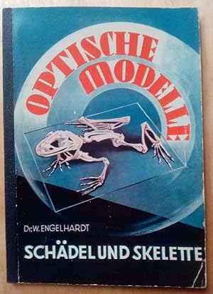 Optische Modelle. Schaedel und Skelette Eine unterhaltsame Plauderei ueber ein knoechernes Thema