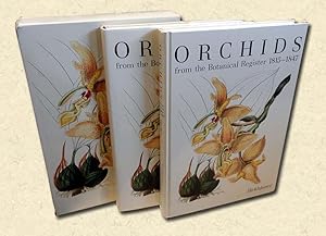 Seller image for Orchids - two volumes, Texts and Illustrations from the Botanical Register 1815-1847 for sale by lamdha books