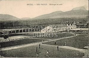 Tarjeta postal. Brésil- Sâo Paulo - Séchage du café [Brasil. Sao Paulo. Secado de café]