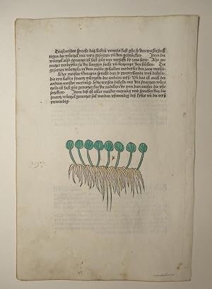 Image du vendeur pour Gart der Gesundheit (GWM 9766, Hain 8948). Blatt: Cap. CCXXXII. Lenticula aque merlynsen. mis en vente par Versandantiquariat Christine Laist