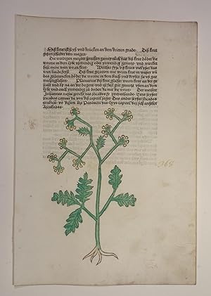 Image du vendeur pour Gart der Gesundheit (GWM 9766, Hain 8948). Blatt: Cap. CCCLXVIII. Siseleos feltkmmel. mis en vente par Versandantiquariat Christine Laist