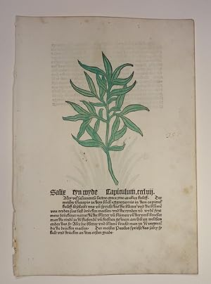 Bild des Verkufers fr Gart der Gesundheit (GWM 9766, Hain 8948). Blatt: Cap. CCCLVII. Salix eyn wyde und Cap. CCCLVIII. Scordeon wild knobelauch. zum Verkauf von Versandantiquariat Christine Laist