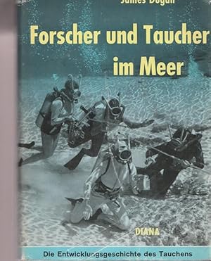 Forscher und Taucher im Meer.