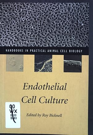 Bild des Verkufers fr Endothelial Cell Culture (Handbooks in Practical Animal Cell Biology) zum Verkauf von books4less (Versandantiquariat Petra Gros GmbH & Co. KG)