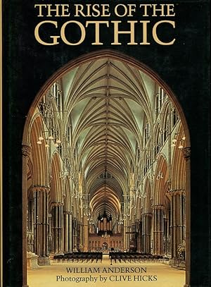 Seller image for The Rise of the Gothic for sale by Godley Books
